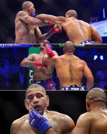 “괴물도 쓰러졌다” 페레이라 KO패…백악관 UFC 역사 새로 쓴 간