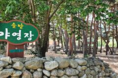 “도심 탈출! 정말 이런 곳이 있다니…”… 1일 피톤치드 만끽 무주 명소
