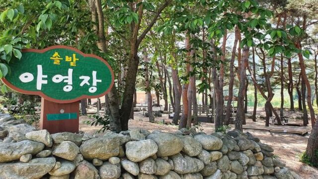 “도심 탈출! 정말 이런 곳이 있다니…”… 1일 피톤치드 만끽 무주 명소