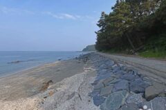 “충남 서천에서 밀물과 썰물 보러 가자!”… 갯벌 체험 가능한 다사항 여행지
