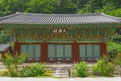 “이런 곳에 진짜 사찰이 있다고?”… 500년 고찰과 숲이 어우러진 명소