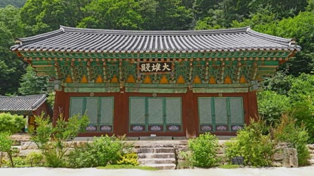 “이런 곳에 진짜 사찰이 있다고?”… 500년 고찰과 숲이 어우러진 명소