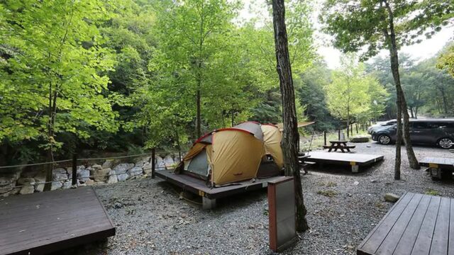 충북 황정산자연휴양림야영장, 계곡 캠핑의 자연 명소