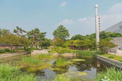 서울 국립중앙박물관 전통염료식물원 축제, 여름의 자연과 전통 체험