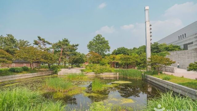 서울 국립중앙박물관 전통염료식물원 축제, 여름의 자연과 전통 체험