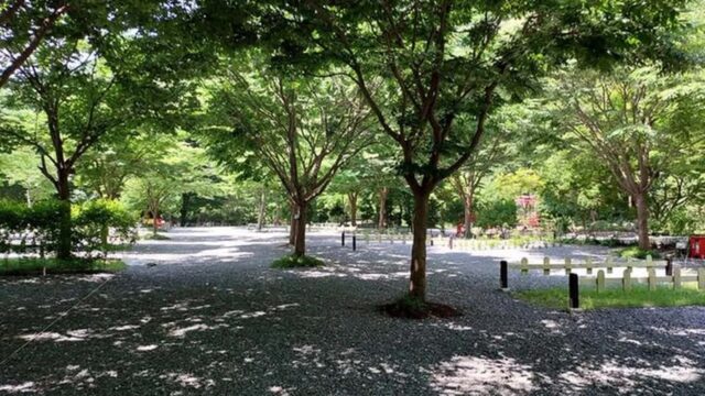“서울에서 130km 밖에 안된다니…” 가족과 커플 모두에게 완벽한 힐링 여행지