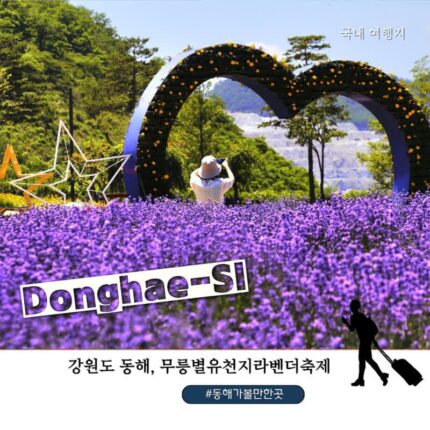 동해 가볼만한 곳 2026 무릉별유천지 라벤더축제 ｜입장료·주차장·셔틀버스 총정리