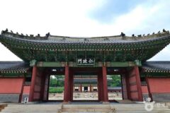 “445,000㎡ 규모의 궁궐이 도심 한복판에?”… 봄마다 벚꽃 만발하는 역사 명소