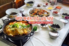 태안 안면도 애견 동반 식당 태안 게국지 맛집