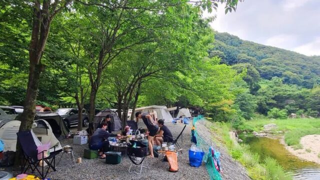 경북 별삼킨별캠핑장, 포항 자연 속 여름 캠핑 추천