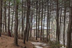 “서울 도심 속에 이런 곳이? 200m 정상에서 보니 진짜…”… 벚꽃 만개한 고요한 힐링 명소