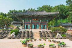 “해발 120m에서 이런 절경이?”… 도심 속 1만 평 사찰 명소