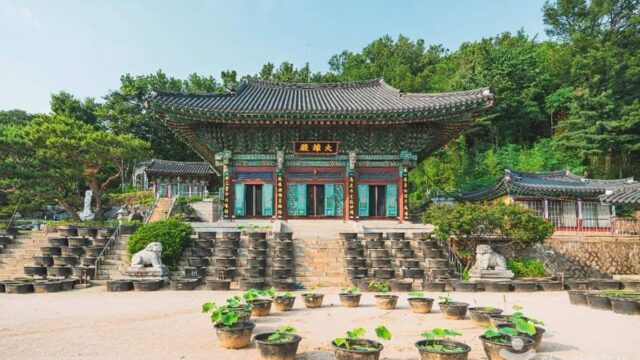 “해발 120m에서 이런 절경이?”… 도심 속 1만 평 사찰 명소