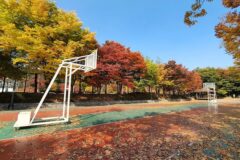 경기 고렴공원, 여름철 산책과 힐링에 좋은 수원 명소