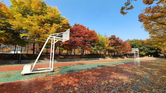 경기 고렴공원, 여름철 산책과 힐링에 좋은 수원 명소