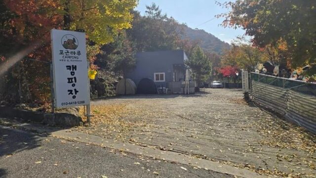 “10,000㎡에 펼쳐진 진짜 힐링 공간이라니”… 가족과 반려견이 함께하는 자연 명소