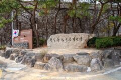동구 유적지 2026년 꼭 가봐야 할 명소 5곳, 역사와 자연의 조화