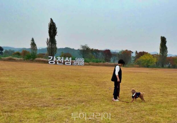 남한강 따라 걷고 자전거로 한 바퀴…여주에서 즐기는 자연 힐링 여행
