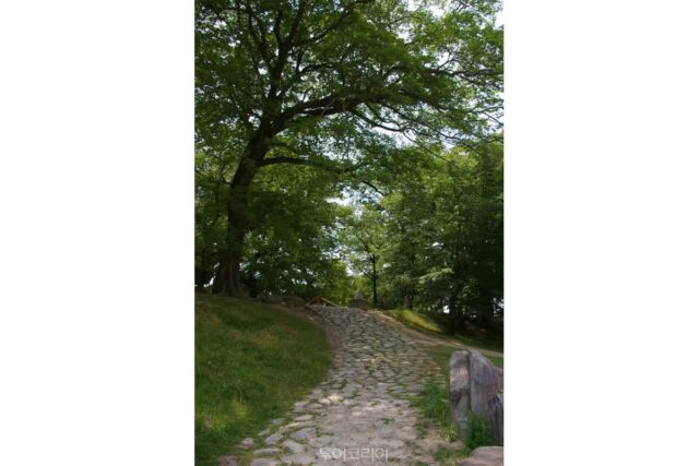 [담양 여행] 댓닢의 속삭임…여름철 감성 여행지로 ‘제격’