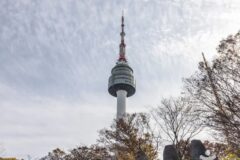 “무려 3,330,000㎡라니, 이런 자연이 도심에?”… 서울 중심, 역사와 문화가 숨 쉬는 남산공원