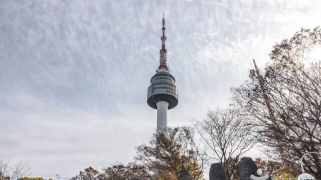 “무려 3,330,000㎡라니, 이런 자연이 도심에?”… 서울 중심, 역사와 문화가 숨 쉬는 남산공원