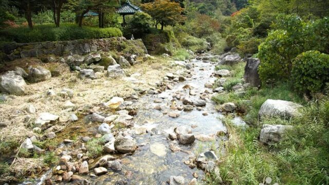 강원 금대계곡 축제, 자연 속 힐링의 여름 경험
