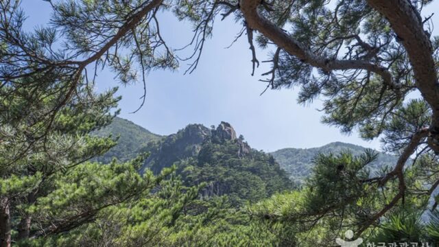 강원 두타산 체험, 자연과 교감하는 여름 산행