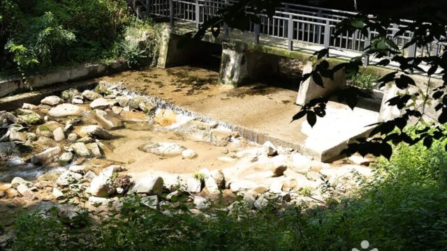 서울 벽운계곡 체험, 도심 속 자연을 즐기는 여름 여행