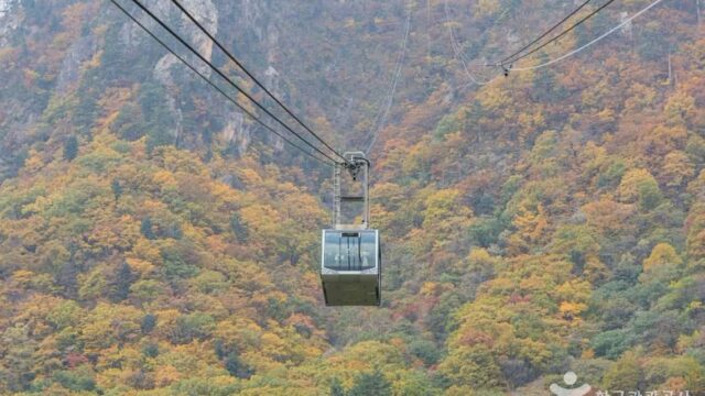 강원 설악산 케이블카 카페, 하늘 위의 특별한 풍경