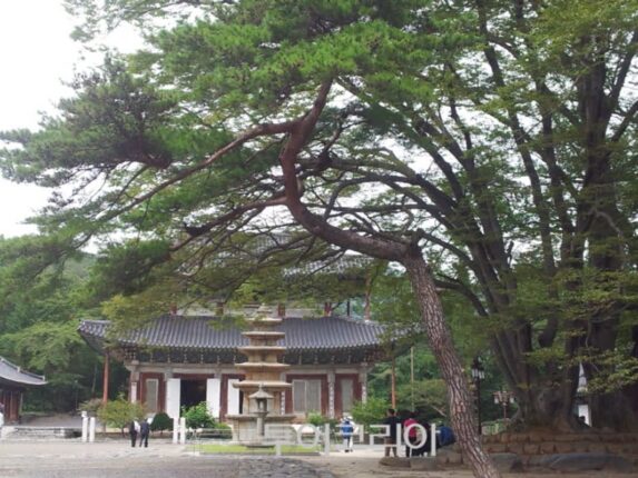 “찍는 곳마다 인생샷”…백제 왕도 부여, 고택에서 2박3일 살아보는 여행