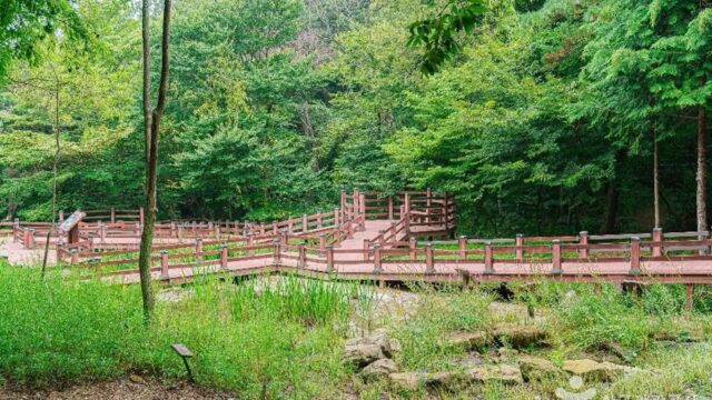전남 금성산생태숲, 여름 힐링 산책 명소 추천