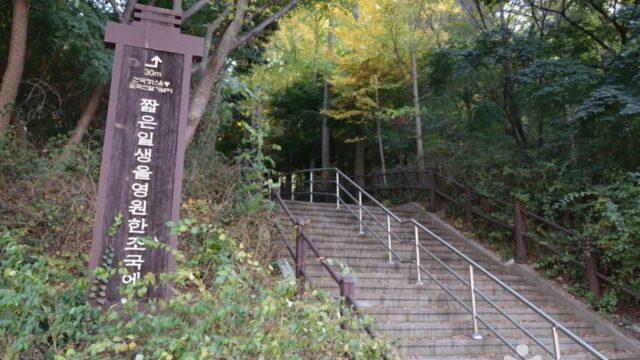 “남산 위에서 180도 서울 전경을 볼 수 있다니”… 저녁 일몰 시간대에 빛나는 역사적 명소