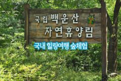 국내 힐링여행 국립 원주 백운산 자연휴양림 숲체험