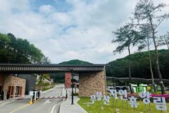 경기 무봉산 자연휴양림 여름 축제, 도심 속 힐링 여행