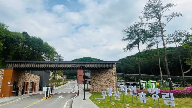 경기 무봉산 자연휴양림 여름 축제, 도심 속 힐링 여행