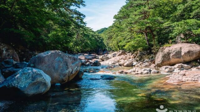 전남 대원사계곡 축제, 여름철 자연 속 힐링 체험