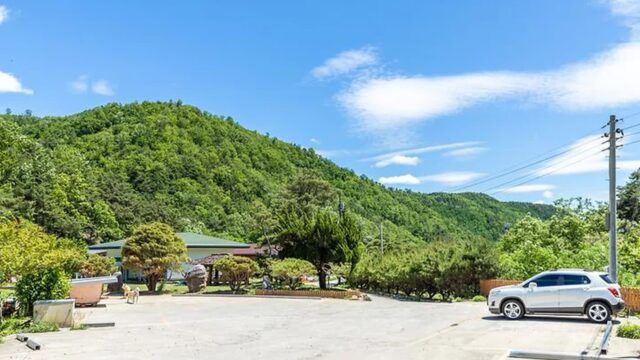 “서울에서 230km, 이런 곳이 있을 줄이야”… 5만㎡ 자연으로 채워진 어린이 천국 여행지