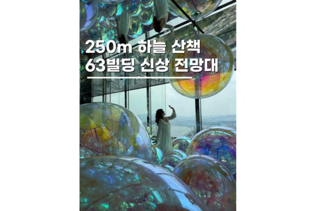 서울데이트 고민 끝 여의도 63빌딩전망대 스카이피크닉 할인까지