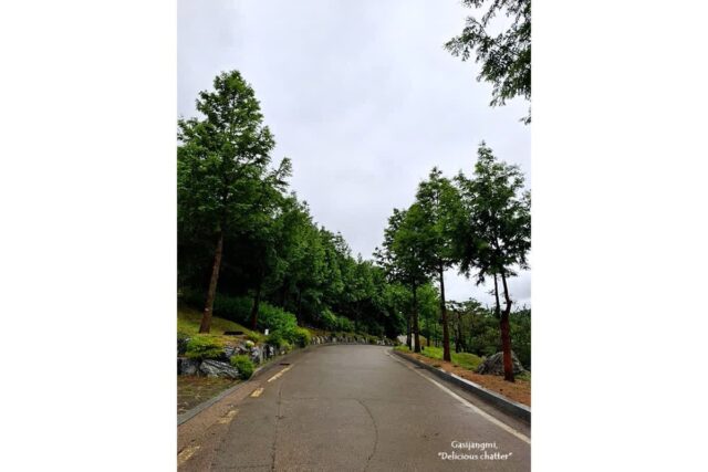 5월 덧글 이벤트 발표… 감사합니다.