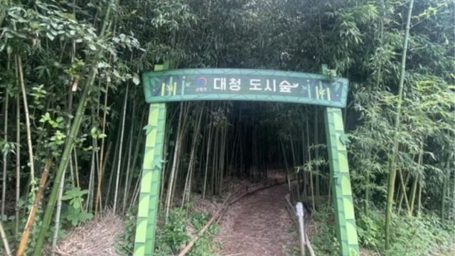 전남 대청계곡대나무숲 숙소, 자연 속 여유로운 휴식