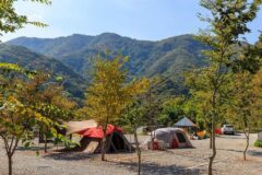 “20km 숲속 깊이 이런 캠핑장이?”… 별빛이 쏟아지는 육백고지 캠핑 명소