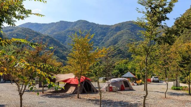 “20km 숲속 깊이 이런 캠핑장이?”… 별빛이 쏟아지는 육백고지 캠핑 명소