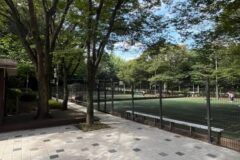 서울 계남근린공원 축제, 자연과 문화가 만나는 여름 행사
