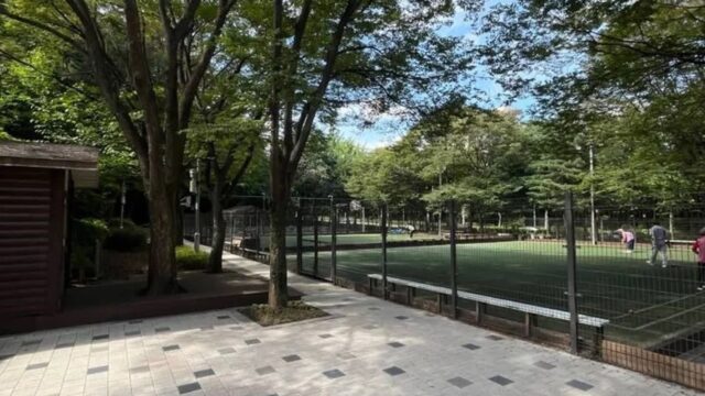 서울 계남근린공원 축제, 자연과 문화가 만나는 여름 행사