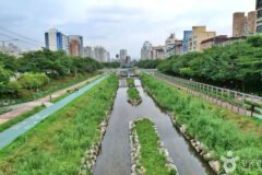 “서울 한복판에 7km 자연이 있다고?”… 바람과 함께 걷는 힐링 여행지