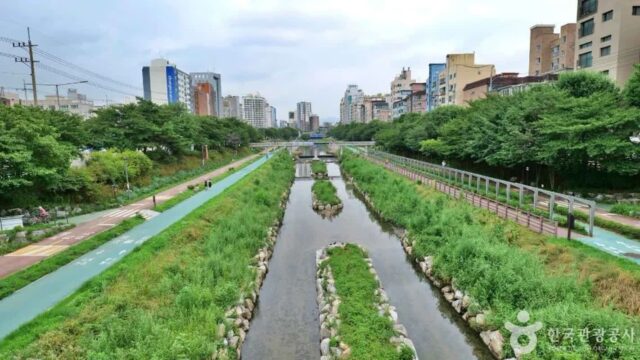 “서울 한복판에 7km 자연이 있다고?”… 바람과 함께 걷는 힐링 여행지