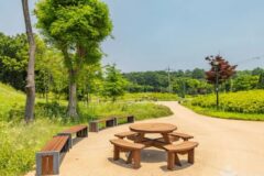 부산 연희공원 카페, 도심 속 자연과 함께하는 여유