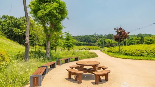부산 연희공원 카페, 도심 속 자연과 함께하는 여유