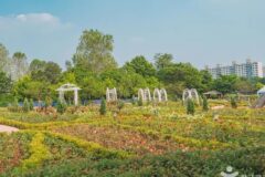 “도심 속 이곳이 진짜 자연이라니?”… 5km 산책로 따라 힐링 서울 여행지