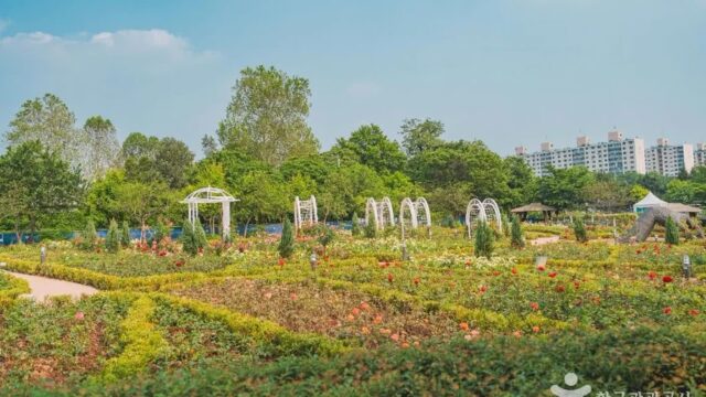 “도심 속 이곳이 진짜 자연이라니?”… 5km 산책로 따라 힐링 서울 여행지